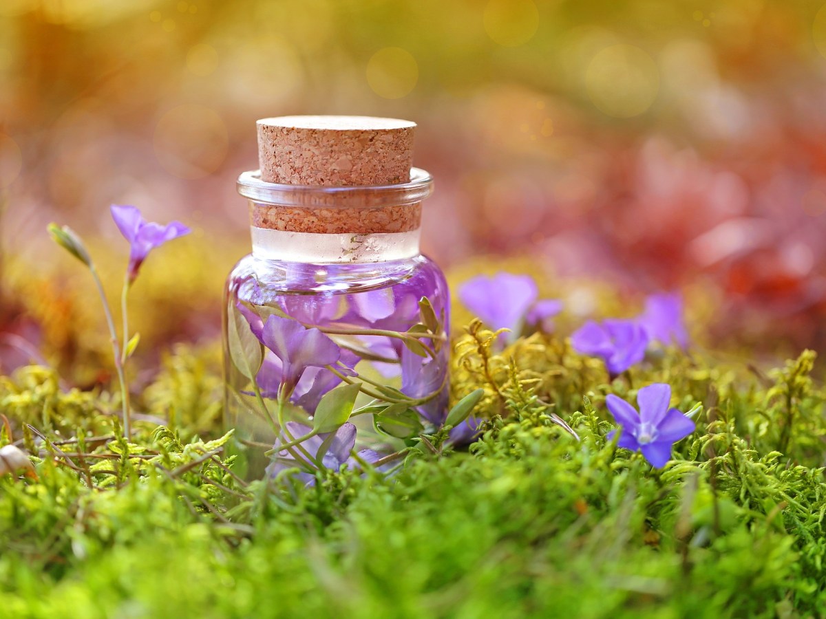 Herramientas brujildas